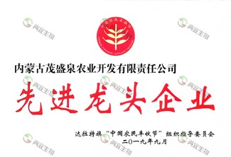 先进龙头企业