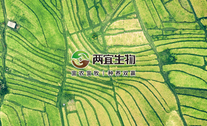 2024 年科左中旗新建和改造提升高标准农田建设项 目